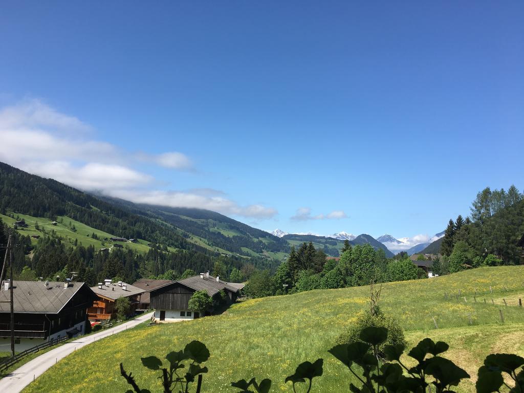 Appartement Hinter-Grundler Alpbach Exteriér fotografie