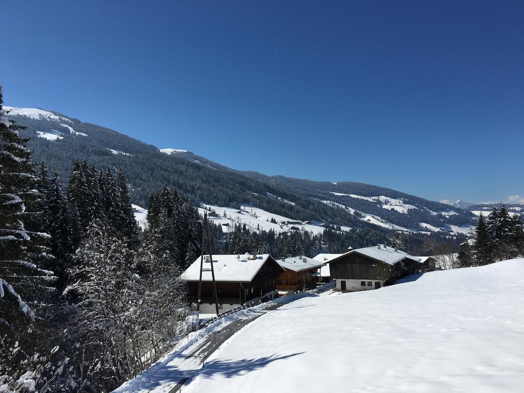 Appartement Hinter-Grundler Alpbach Exteriér fotografie